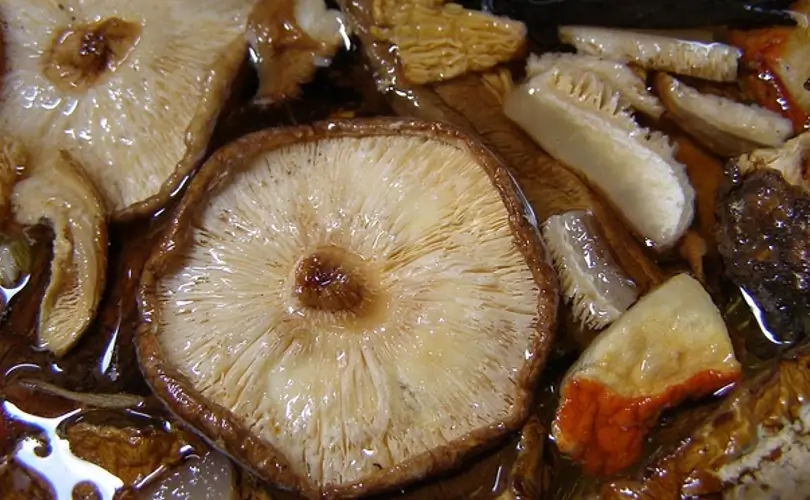 Mushrooms an Asian Cuisine